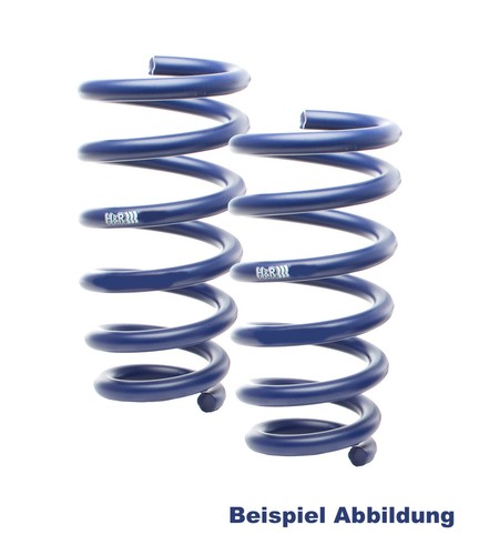 Springs lowering for bmw - springs,