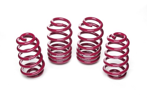 Vogtland springs for bmw 3er - vogtland,