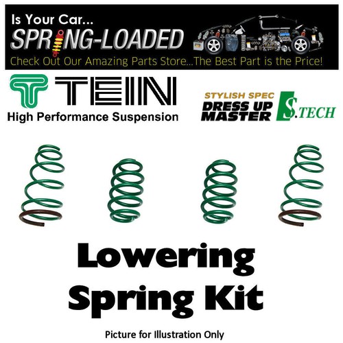 Tein tech lowering - lowering, springs