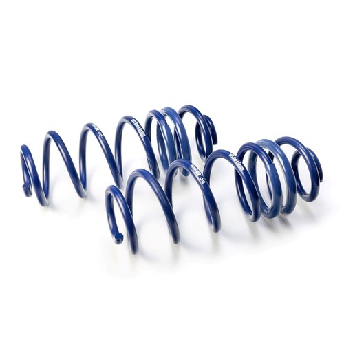 Lowering springs 29970 2 - lowering,