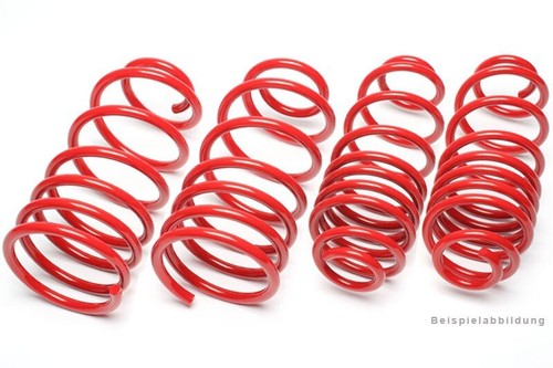 Technix springs lowered - technix,