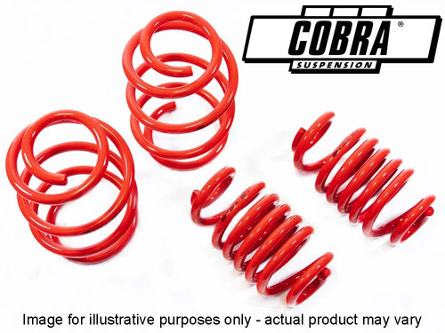 Cobra lowering springs bmw - springs,
